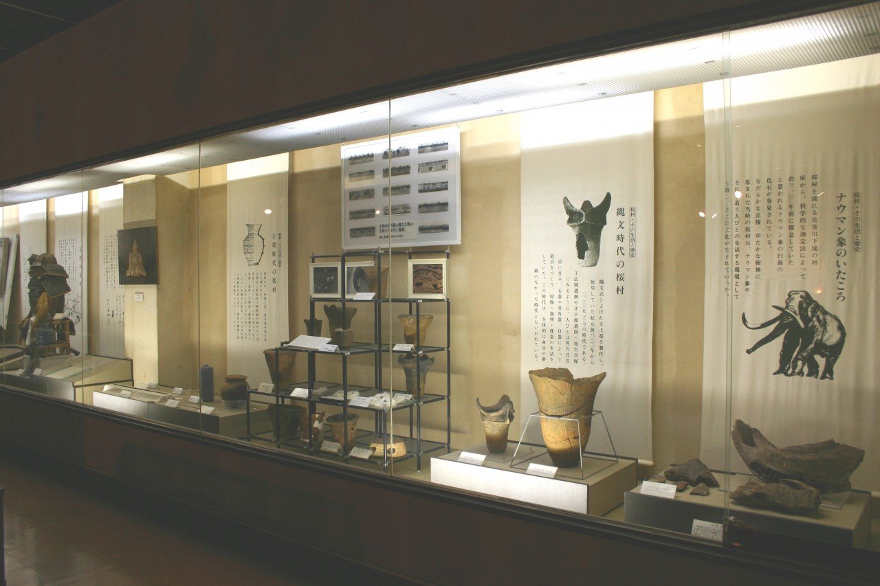 🏛️ 츠쿠바시 사쿠라 역사 민속 자료관 (츠쿠바시 사쿠라 레키시 민조쿠 시료칸) 이미지 5